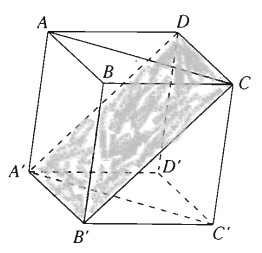 Giải SBT Bài 2. Hai đường thẳng vuông góc – Chương 3 hình học 11