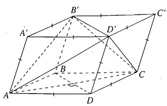 Giải SBT Bài 4. Hai mặt phẳng vuông góc – Chương 3 hình học 11
