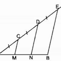 Bài 10 đường thẳng song song với một đường thẳng cho trước – Chương 1 Hình học SBT Toán 8 tập 1