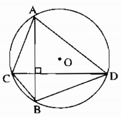 Bài 2 Đường kính và dây của đường tròn - Sách bài tập Toán 9 tập 1