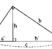 Bài 2 tỉ số lượng giác của góc nhọn – Giải bài 2.1 – 2.10 – Sách bài tập Toán 9 tập 1
