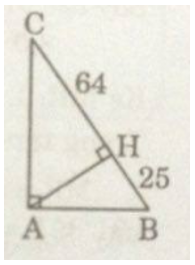 Bài 4. Một số hệ thức về cạnh và góc trong tam giác vuông – giải bài 61 -> 71 – Sách bài tập Toán 9 tập 1