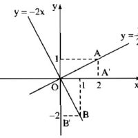 Bài 5. Hệ số góc của đường thẳng y = ax + b (a ≠ 0) - Sách bài tập Toán 9 tập 1