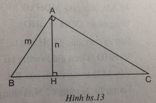 Bài 8: Các trường hợp đồng dạng của tam giác vuông – Chương 3 Hình học SBT Toán 8