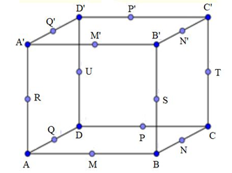 Đề Kiểm Tra 1 tiết chương 1 Hình học 12 – Đề 1