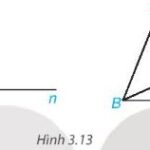 Giải bài tập Bài 8: Góc ở vị trí đặc biệt. Tia phân giác của một góc (C3 Toán 7 Kết nối)