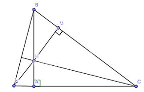 Solving Exercises Lesson 8: Properties of the three altitudes of a triangle (C8 Math 7 Horizons)
