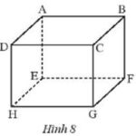 Giải SBT bài 1 Hình hộp chữ nhât, hình lập phương (C3 Toán 7 – Chân trời)