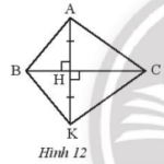 Giải SBT Bài 2: Tam giác bằng nhau (C8 SBT Toán 7 Chân trời)