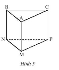 Solving SBT Lesson 3 Triangular vertical prism, quadrilateral standing prism (C3 Math 7 – Horizon)