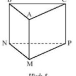 Giải SBT BÀI 3 Hình lăng trụ đứng tam giác, hình lăng trụ đứng tứ giác (C3 Toán 7 – Chân trời)