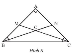 SBT Solution Lesson 3: Isosceles triangle (C8 SBT Math 7 Horizon)