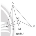 Giải SBT Bài 7: Tính chất ba đường trung tuyến của tam giác (C8 SBT Toán 7 Chân trời)