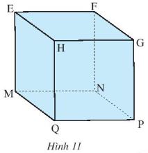 Giải bài tập bài 1 Hình hộp chữ nhât, hình lập phương (C3 Toán 7 - Chân trời) 2