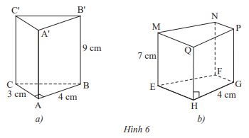 Giải bài tập 3 Hình lăng trụ đứng tam giác, hình lăng trụ đứng tứ giác (C3 Toán 7 - Chân trời) 1