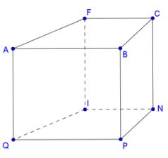 Giải bài tập 3 Hình lăng trụ đứng tam giác, hình lăng trụ đứng tứ giác (C3 Toán 7 - Chân trời) 11