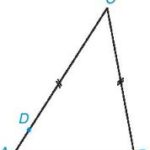 Giải bài tập Bài 31 Quan hệ giữa góc và cạnh đối diện trong một tam giác (Chương 9 Toán 7 Kết nối)