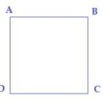 Giải bài tập Bài 32 Quan hệ đường vuông góc và đường xiên (Chương 9 Toán 7 Kết nối)