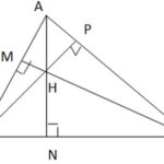 Giải bài tập Bài 35 Sự đồng quy của ba đường trung trực, ba đường cao trong một tam giác (Chương 9 Toán 7 Kết nối)