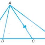 Giải SBT Bài 31 Quan hệ giữa góc và cạnh đối diện trong một tam giác (Chương 9 Toán 7 Kết nối)