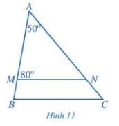 Giải bài 1 Tổng các góc của một tam giác - Chương 7 Toán 7 Cánh diều 5