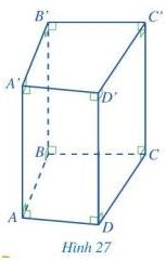 Giải bài tập Bài 2 Hình lăng trụ đứng tam giác, hình lăng trụ đứng tứ giác (Chương 3 Toán 7 Cánh diều) 7