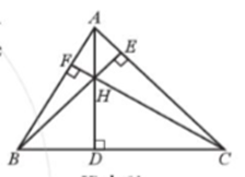 Giải SBT bài 13 Tính chất ba đường cao của tam giác - Chương 7 SBT Toán 7 Cánh diều 3
