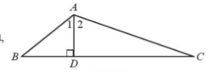 Giải SBT bài 2 Quan hệ giữa góc và cạnh đối diện, bất đẳng thức tam giác - Chương 7 SBT Toán 7 Cánh diều 1
