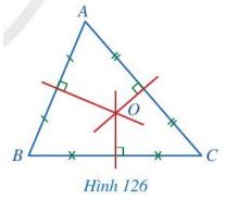Giải bài 12 Tính chất ba đường trung trực của tam giác - Chương 7 Toán 7 Cánh diều 5