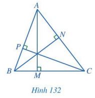 Giải bài 13 Tính chất ba đường cao của tam giác - Chương 7 Toán 7 Cánh diều 1