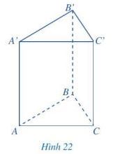 Giải bài tập Bài 2 Hình lăng trụ đứng tam giác, hình lăng trụ đứng tứ giác (Chương 3 Toán 7 Cánh diều) 3