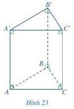 Giải bài tập Bài 2 Hình lăng trụ đứng tam giác, hình lăng trụ đứng tứ giác (Chương 3 Toán 7 Cánh diều) 4