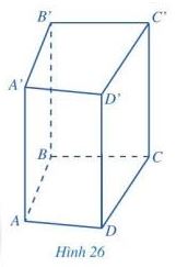 Giải bài tập Bài 2 Hình lăng trụ đứng tam giác, hình lăng trụ đứng tứ giác (Chương 3 Toán 7 Cánh diều) 6