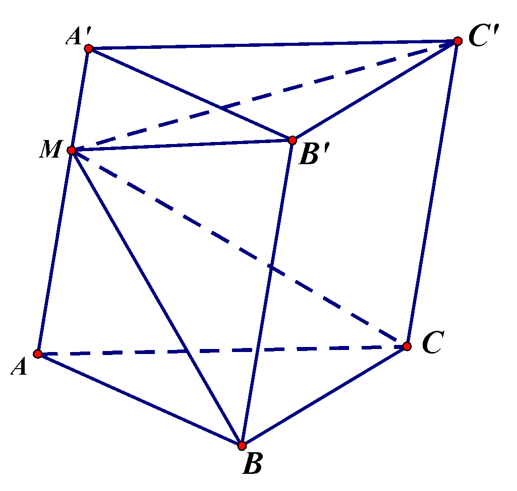 Cho hình lăng trụ (ABC.A'B'C') có thể tích là (V). Điểm (M) nằm trên cạnh (AA') sao cho (AM = 2MA'). Gọi (V') là thể tích của khối chóp (M.BCC'B'). Tính tỉ số (frac{{V'}}{V}).</p> 1