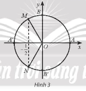 HỌC Bài 5. Phương trình lượng giác cơ bản - Toán 11 CTST