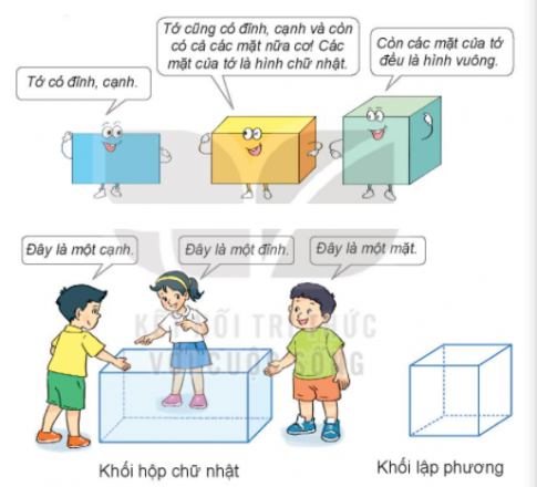 Bài 21: Khối lập phương, khối hộp chữ nhật - SGK Kết nối tri thức 1