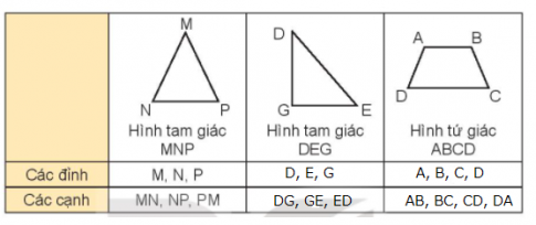 Bài 19: Hình tam giác, hình tứ giác. Hình chữ nhật, hình vuông - SGK Kết nối tri thức 2