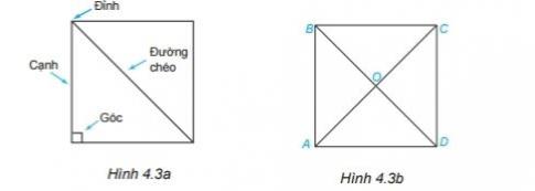 Bài 18: Hình tam giác đều. Hình vuông. Hình lục giác đều - Toán lớp 6 (Tập 1) - Kết nối tri thức 2