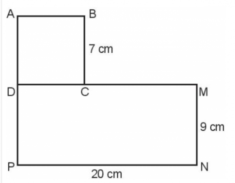Bài 52: Diện tích hình chữ nhật, diện tích hình vuông - SGK Kết nối tri thức 7