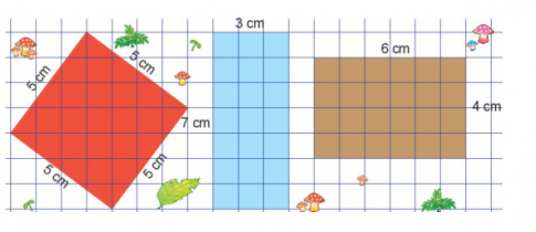 Bài 52: Diện tích hình chữ nhật, diện tích hình vuông - SGK Kết nối tri thức 8