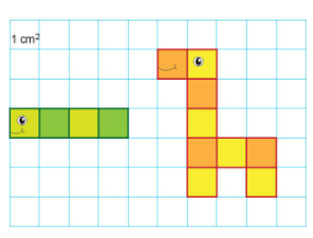 Bài 51: Diện tích của một hình. Xăng - ti - mét vuông - SGK Kết nối tri thức 6