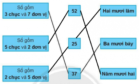 Bài Ôn tập học kì I - Giải VBT Toán 2 - Sách Chân trời 5