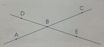 Bài 43: Đường thẳng - Đường cong - Đường gấp khúc - Giải VBT Toán 2 - Cánh Diều 3