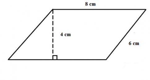 Bài tập cuối chương 3 - Toán lớp 6 (Tập 1) - Chân trời sáng tạo 4