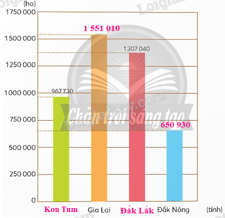 Giải SGK Toán lớp 5 trang 43, 44, 45 Bài 16: Em làm được những gì? | Chân trời sáng tạo 12