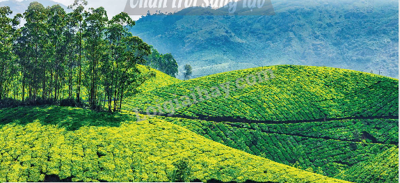 Giải SGK Toán lớp 5 trang 36, 37 Bài 13: Héc-ta | Chân trời sáng tạo 2