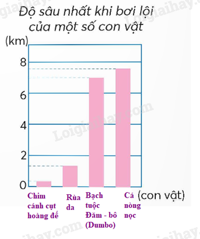 Giải SGK Toán lớp 5 trang 60, 61, 62 Bài 23: Em làm được những gì? | Chân trời sáng tạo 3