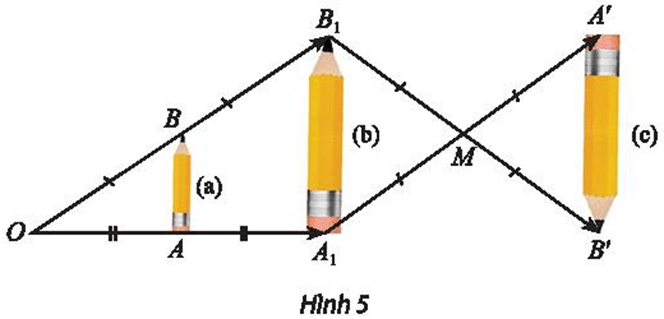 Vận dụng 2 trang 40 Chuyên đề học tập Toán 11 