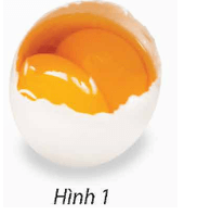 Bài 6 trang 72 Chuyên đề Toán 12 (Sách Chân trời)