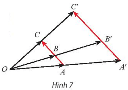 Khám phá 3 trang 33 Chuyên đề học tập Toán 11 